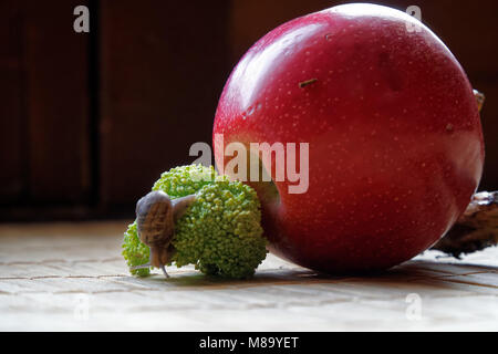 Assis sur l'escargot pomme rouge et de tronc d'arbre et rendez-vous au vert le brocoli, toile de bambou en bois, close-up animal fond. Banque D'Images