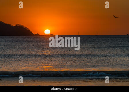 Le soleil se couche sur quelques roches sur l'horizon de l'océan vu de Playa Potrero Costa Rica avec une silhouette de quelques voiliers et un pélican à voile. Banque D'Images