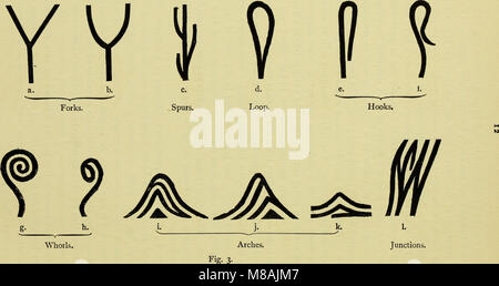 Guide pour l'identification d'empreintes digitales (ressource électronique) (1905) (14597856290) Banque D'Images