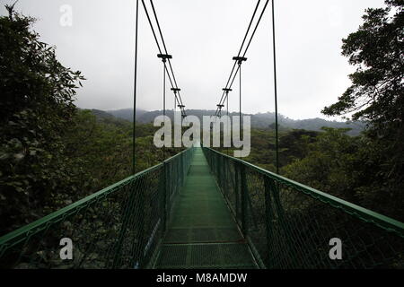 Pont suspendu dans la Forêt Nuageuse de Monteverde, Costa Rica Banque D'Images