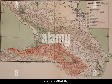 Die Nacktschneckenfauna des Russischen Reiches, publié en 1901, se concentre sur la faune des limaces (gastéropodes) dans l'Empire russe. Le travail décrit diverses espèces et leurs rôles écologiques dans la région. Banque D'Images