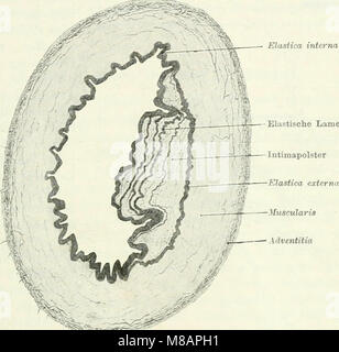 Handbuch der Physiologie des Menschen (1909) (14759071186) Banque D'Images