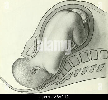 Handbuch der Physiologie des Menschen (1909) (14759106126) Banque D'Images