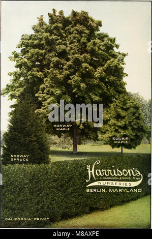 Harrisons' Nurseries catalogue (1914) offre une grande variété de plantes, d'arbres et d'arbustes pour les amateurs de jardinage, avec des informations sur la culture, les soins, et la conception de jardin. Banque D'Images