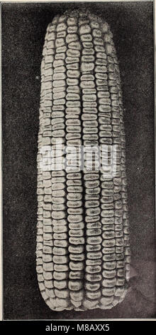 Hastings' seeds - printemps 1912 le catalogue (1912) (14595938420) Banque D'Images