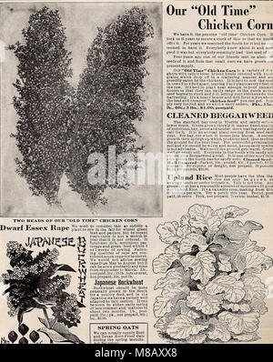 Hastings' seeds - printemps 1912 le catalogue (1912) (14596065319) Banque D'Images