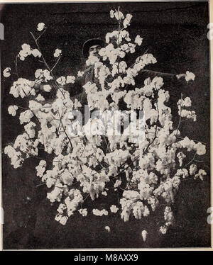 Hastings' seeds - printemps 1912 le catalogue (1912) (14759643466)