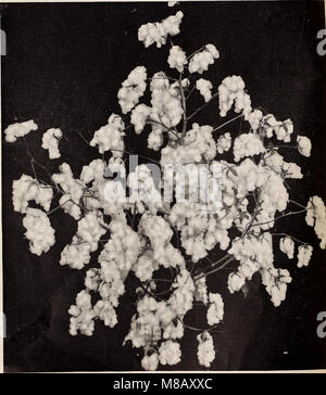 Hastings' seeds - printemps 1912 le catalogue (1912) (14782642485)