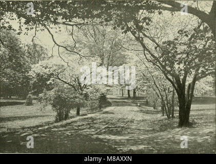 Le Haverford College Athletic Annual and Class Book 1900 fournit un relevé des événements sportifs, des réalisations et des activités étudiantes du yearâ€™s. Il sert de référence historique pour les anciens élèves et les étudiants, mettant en évidence des performances notables et la vie universitaire. Banque D'Images