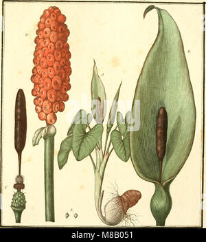 Herbier de la France ; or, Collection complette des plantes indigènes de ce royaume ; avec leurs proprits, et leurs usages en medecine (1787) (14781690544) Banque D'Images