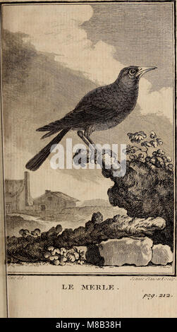 L'histoire naturelle des oiseaux, publiée en 1775, est un ouvrage complet sur l'histoire naturelle des oiseaux. Il décrit diverses espèces, leur anatomie, leur comportement et leurs habitats, fournissant des comptes rendus détaillés de la diversité aviaire dans différentes régions. Banque D'Images