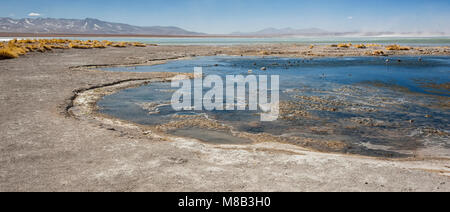 Laguna y Termas de Polques Hot spring extérieure avec Salar de Chalviri en arrière-plan, Salar de Uyuni, Potosi, Bolivie - Amérique du Sud Banque D'Images