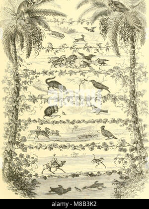 Histoire naturelle des oiseaux - suivant une classification de Isidore Geoffroy-Saint-Hilaire ; avec l'indication de leurs moeurs et de leurs rapports avec les arts, le commerce et l'agriculture (1855) (14725692916) Banque D'Images