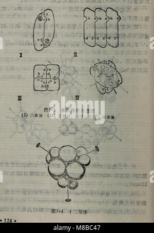 Dan bai zhi jie de gou yu gong neng (1988.11) (20838615651) Banque D'Images