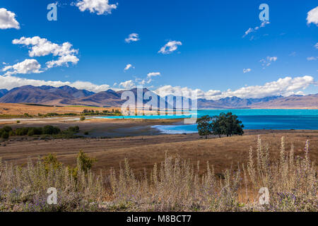 Vue éloignée sur le lac Tekapo sur une journée d'été Banque D'Images