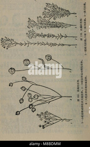 Da tian zuo wu zhong yu xue Yu Zhong zi yu xue shi fan xi zhi dao (1957.1) (20841436375) Banque D'Images