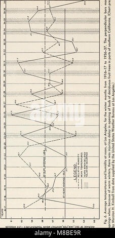 Vergers à feuilles caduques en Californie Winters (1951) (20851984511) Banque D'Images