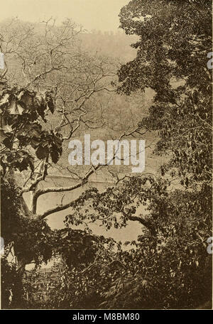 Description gÃ©ologique de Java et Madoura (1896) est une étude géologique des îles de Java et Madura. Il explore la géologie, les minéraux et les formations naturelles de ces îles indonésiennes. Banque D'Images