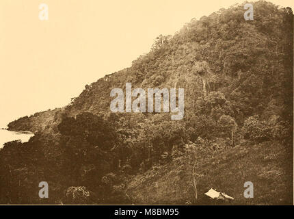 Description gÃ©ologique de Java et Madoura (1896) propose une étude géologique des îles de Java et Madoura, détaillant leurs formations rocheuses, leurs compositions minérales et leur histoire géologique. Banque D'Images