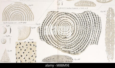 Description géologique de Java et Madoura (1896) (20877124391) Banque D'Images