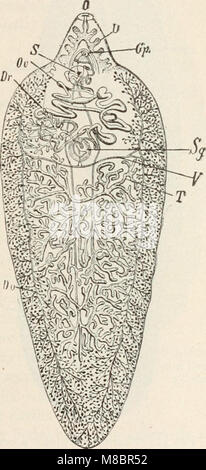 Les méthodes de diagnostic, chimiques, bactériologiques et microscopique, un texte-livre pour les étudiants et les praticiens (1914) (14779098591) Banque D'Images