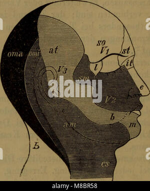 Diagnostik der inneren Frauenspezifische auf Grund der heutigen Untersuchungsmethoden - ein Lehrbuch für Studierende und Aerzte (1901) (14571073778) Banque D'Images