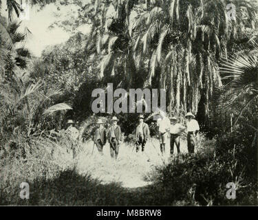 Journal d'une tournée en Afrique du Sud (1912) (14594138660) Banque D'Images