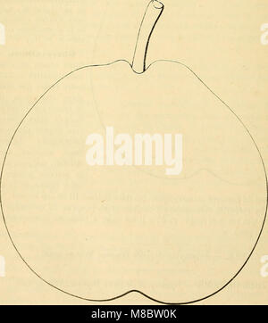 Dictionnaire de mairie (Kiel) - contenant l'histoire, la description, la figure des fruits anciens et des fruits modernes les plus généralement connus et cultivés (1867) (20712171018) Banque D'Images