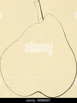 Dictionnaire de mairie (Kiel) - contenant l'histoire, la description, la figure des fruits anciens et des fruits modernes les plus généralement connus et cultivés (1867) (20899529145) Banque D'Images