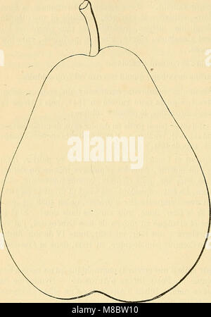 Dictionnaire de mairie (Kiel) - contenant l'histoire, la description, la figure des fruits anciens et des fruits modernes les plus généralement connus et cultivés (1867) (20907703801) Banque D'Images