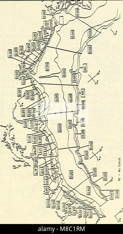 Distribution et l'abondance de l'évolution de 22 espèces choisies au milieu atlantique à partir de relevés au chalut de fond au cours de 1967-1979 - Rapport final de la U.S. Minéral(s) Management Service (1985) (20352350554) Banque D'Images