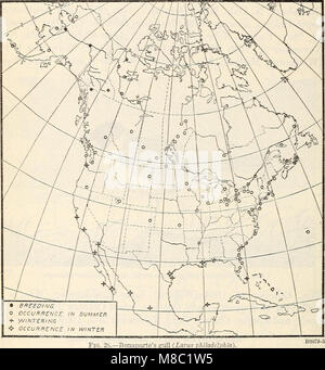 Répartition et migration des goélands de l'Amérique du Nord et leurs alliés (1915) (14596293950) Banque D'Images