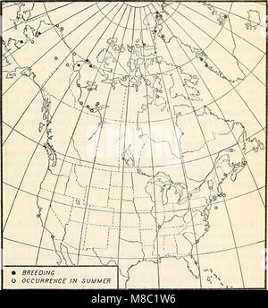 Répartition et migration des goélands de l'Amérique du Nord et leurs alliés (1915) (14596467107) Banque D'Images