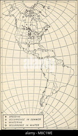 Répartition et migration des goélands de l'Amérique du Nord et leurs alliés (1915) (14782649862) Banque D'Images