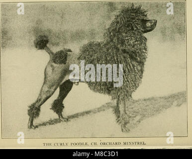 Ce livre de 1922 explore le rôle des chiens en tant que compagnons dans la maison, offrant des conseils et des idées pour les amoureux des chiens. Il couvre diverses races, des conseils de dressage et comment les chiens améliorent la vie à la maison. Banque D'Images