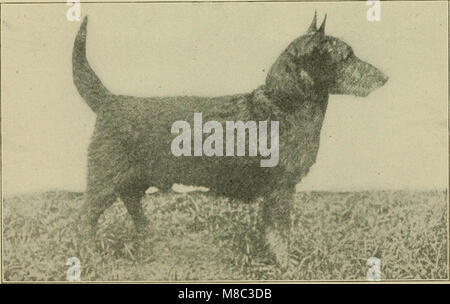 Ce livre de 1922 offre des conseils sur les soins et la compagnie des chiens, soulignant leur rôle de compagnons à domicile et fournissant des conseils utiles aux propriétaires de chiens. Banque D'Images