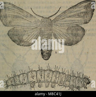 Dong bei nong zuo wu hai chong Tu Shuo (1959.10) (20992126125) Banque D'Images