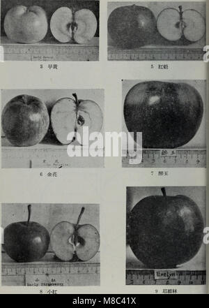 Dong bei ping guo jie zhong pin shuo (1957.11) (20804543670) Banque D'Images