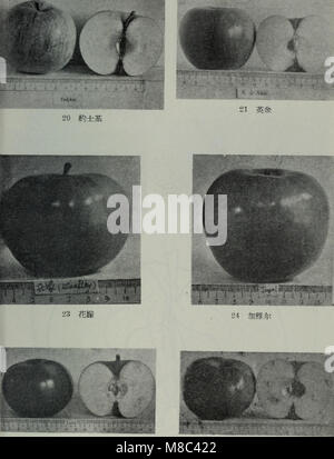 La publication de 1957 'Dong BEI ping guo pin zhong Jie shuo' offre une explication détaillée des variétés et des caractéristiques des pommes cultivées dans le nord-est de la Chine, fournissant des informations précieuses sur les pratiques agricoles régionales et la culture de la pomme. Banque D'Images