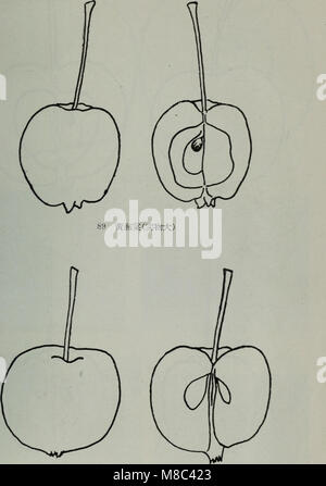 Dong bei ping guo jie zhong pin shuo (1957.11) (20982811822) Banque D'Images