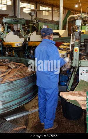 SAO BRAS DE ALPORTEL, ALGARVE / PORTUGAL - 9 mars : l'usine de Cork à Sao Bras de Alportel, Algarve au Portugal le 9 mars 2018. Personne non identifiée Banque D'Images