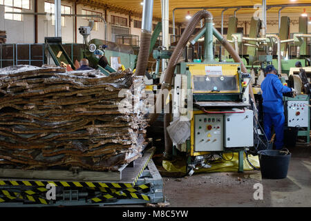 SAO BRAS DE ALPORTEL, ALGARVE / PORTUGAL - 9 mars : l'usine de Cork à Sao Bras de Alportel, Algarve au Portugal le 9 mars 2018. Personne non identifiée Banque D'Images