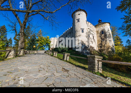 Belle vue sur le château de Niedzica, Pologne, Europe Banque D'Images