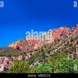 Kolob canyon à Zion National Park, Utah. Ciel bleu clair, vert des arbres, montagnes de grès Navajo rouge. Banque D'Images