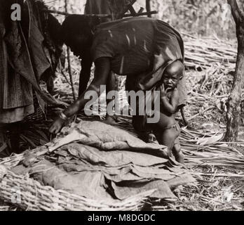 1940 Afrique de l'Est de l'Ouganda - culture du tabac - L'exploitation et de transformation Banque D'Images