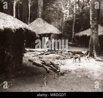 1940 Afrique de l'Est de l'Ouganda - forêt, abattage et de Budongo sciage à façon acajou - woodsmens abris Banque D'Images