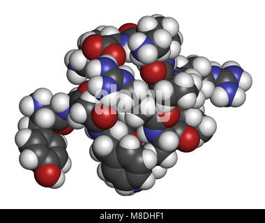 La dynorphine un peptide opioïde endogène molécule. Le rendu 3D. Les atomes sont représentés comme des sphères classiques avec codage couleur : blanc (hydrogène), carbo Banque D'Images