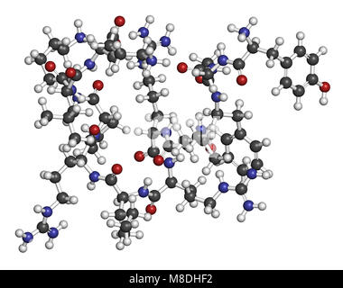 La dynorphine un peptide opioïde endogène molécule. Le rendu 3D. Les atomes sont représentés comme des sphères classiques avec codage couleur : blanc (hydrogène), carbo Banque D'Images