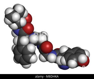 Leu-enképhaline peptide opioïde endogène molécule. Le rendu 3D. Les atomes sont représentés comme des sphères classiques avec codage couleur : blanc (hydrogène), ca Banque D'Images