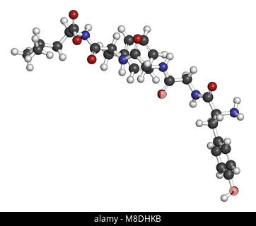 Leu-enképhaline peptide opioïde endogène molécule. Le rendu 3D. Les atomes sont représentés comme des sphères classiques avec codage couleur : blanc (hydrogène), ca Banque D'Images